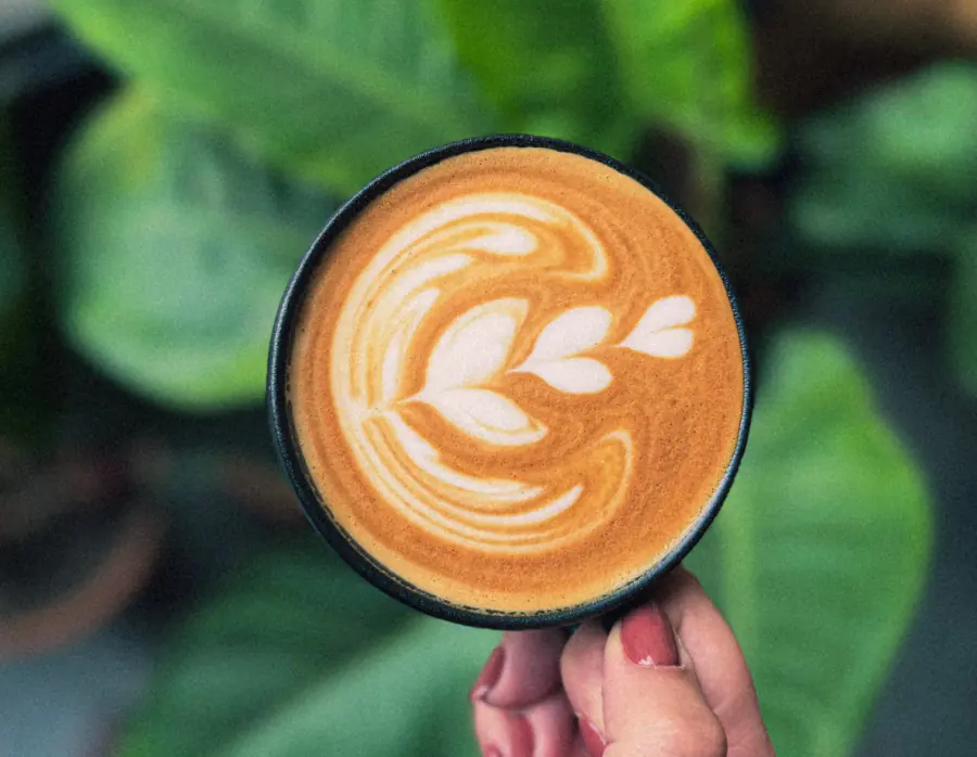 Latte con arte en espuma sostenido frente a las plantas